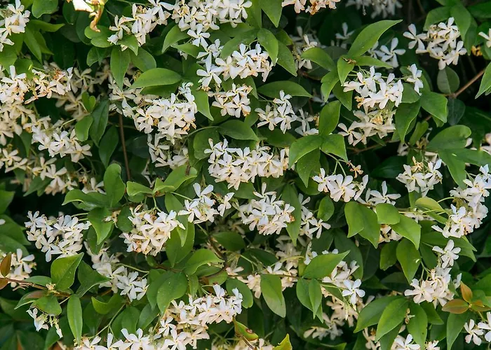 Apart-hotel Bardon Castelldefels